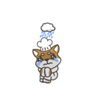 Shibaken Chef-First set of LINE stickers（個別スタンプ：4）