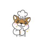 Shibaken Chef-First set of LINE stickers（個別スタンプ：6）