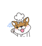 Shibaken Chef-First set of LINE stickers（個別スタンプ：7）