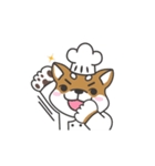 Shibaken Chef-First set of LINE stickers（個別スタンプ：13）