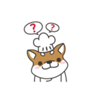 Shibaken Chef-First set of LINE stickers（個別スタンプ：18）