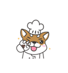 Shibaken Chef-First set of LINE stickers（個別スタンプ：20）