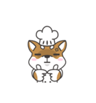 Shibaken Chef-First set of LINE stickers（個別スタンプ：21）