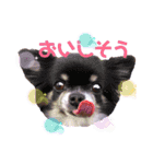 わがやの宝石たち②（個別スタンプ：5）