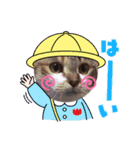 わがやの宝石たち②（個別スタンプ：6）