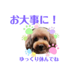 わがやの宝石たち②（個別スタンプ：11）