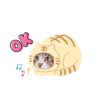 わがやの宝石たち②（個別スタンプ：13）