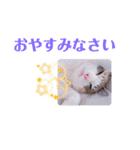 わがやの宝石たち②（個別スタンプ：14）