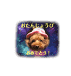 わがやの宝石たち②（個別スタンプ：16）