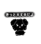 私たちの天ちゃん4ヶ月～黒トイプードル～（個別スタンプ：5）