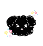 私たちの天ちゃん4ヶ月～黒トイプードル～（個別スタンプ：36）