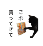 表情豊かな黒猫びびちゃんスタンプ4（個別スタンプ：11）