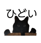 表情豊かな黒猫びびちゃんスタンプ4（個別スタンプ：18）