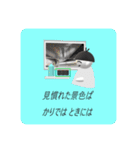 おやつのスープ（個別スタンプ：30）