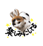 タモとゆかいな仲間たち。（個別スタンプ：2）