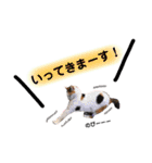 タモとゆかいな仲間たち。（個別スタンプ：7）