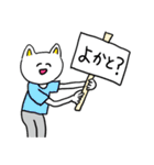 ❤️【博多弁】ねこ❤️（個別スタンプ：13）