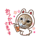 ねこすたんプ3（個別スタンプ：7）