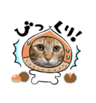 ねこすたんプ3（個別スタンプ：9）