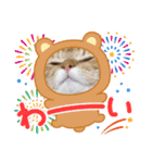 ねこすたんプ3（個別スタンプ：12）