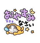 ねこすたんプ3（個別スタンプ：13）