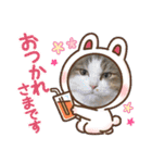 ねこすたんプ3（個別スタンプ：14）