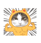 ねこすたんプ3（個別スタンプ：15）