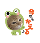 ねこすたんプ3（個別スタンプ：18）