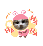 ねこすたんプ3（個別スタンプ：20）