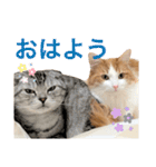 めいお嬢のスタンプ（個別スタンプ：5）
