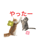 めいお嬢のスタンプ（個別スタンプ：6）