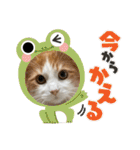 めいお嬢のスタンプ（個別スタンプ：28）
