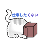 ボックスキャット - 箱の中のかわいい猫（個別スタンプ：19）