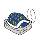 メガくん（個別スタンプ：16）