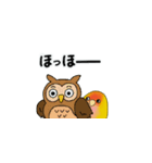 まるまるコザクラインコ（個別スタンプ：10）