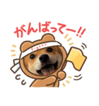 柴犬×チワワのすだちくん(日常スタンプ1)（個別スタンプ：23）