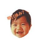 腹ペコ family（個別スタンプ：11）