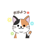 にゃっち 三毛猫 シンプル スタンプ（個別スタンプ：1）