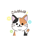 にゃっち 三毛猫 シンプル スタンプ（個別スタンプ：3）