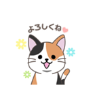 にゃっち 三毛猫 シンプル スタンプ（個別スタンプ：6）