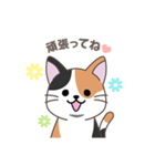 にゃっち 三毛猫 シンプル スタンプ（個別スタンプ：8）