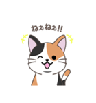 にゃっち 三毛猫 シンプル スタンプ（個別スタンプ：13）