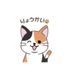 にゃっち 三毛猫 シンプル スタンプ（個別スタンプ：15）