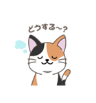 にゃっち 三毛猫 シンプル スタンプ（個別スタンプ：16）