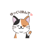 にゃっち 三毛猫 シンプル スタンプ（個別スタンプ：18）