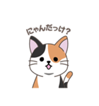 にゃっち 三毛猫 シンプル スタンプ（個別スタンプ：19）