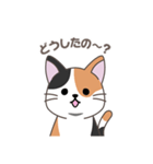 にゃっち 三毛猫 シンプル スタンプ（個別スタンプ：20）