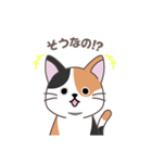 にゃっち 三毛猫 シンプル スタンプ（個別スタンプ：21）