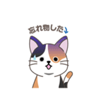 にゃっち 三毛猫 シンプル スタンプ（個別スタンプ：23）