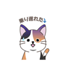 にゃっち 三毛猫 シンプル スタンプ（個別スタンプ：24）